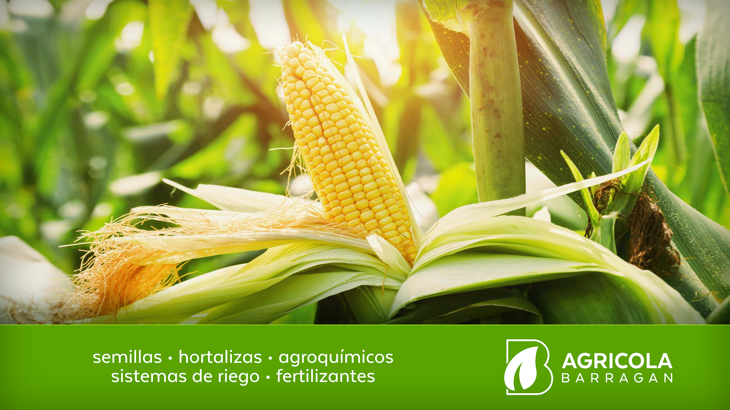 Semillas, Hortalizas, Agroquímicos y Fertilizantes "Agrícola Barragán" Poster