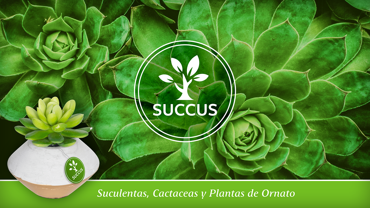 Suculentas y Cactaceas "Vivero Succus" Poster